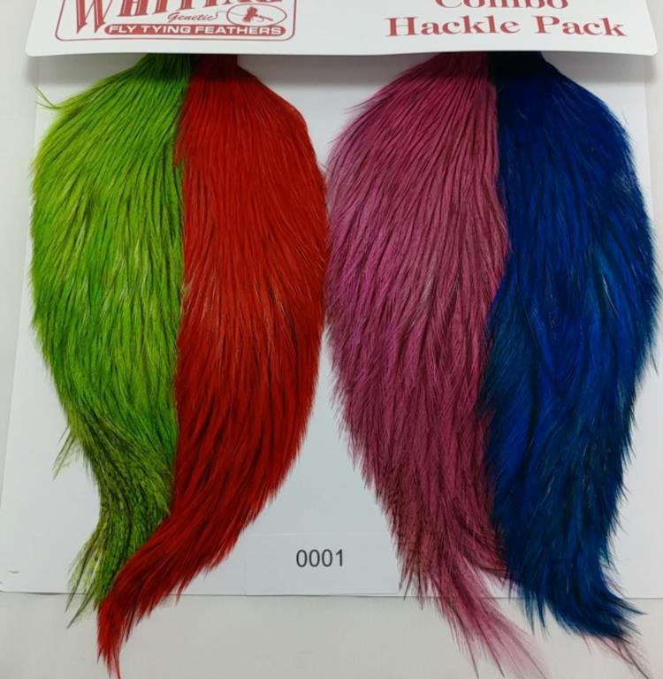 WHITING COQ DE LEON VERSA PACK