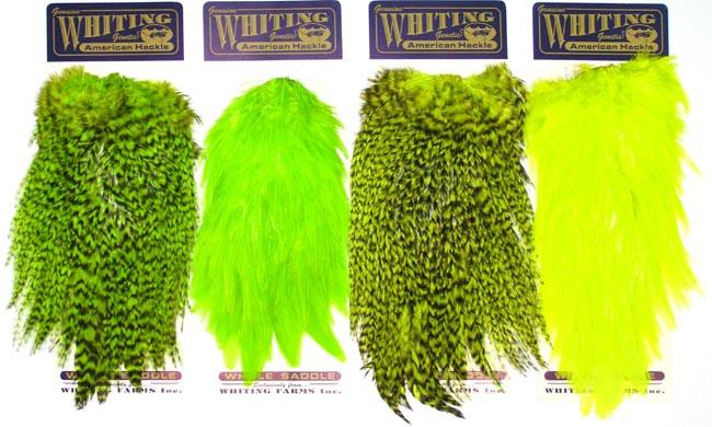 WHITING AMERICAN ROOSTER SADDLE