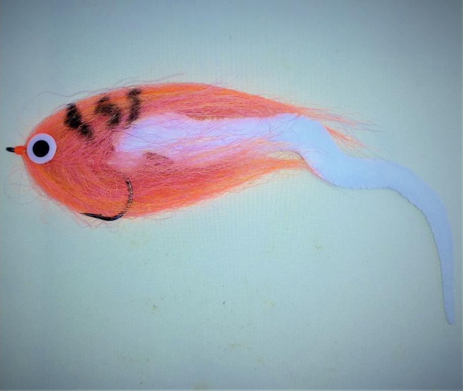 Diamond Eyed DragonS 