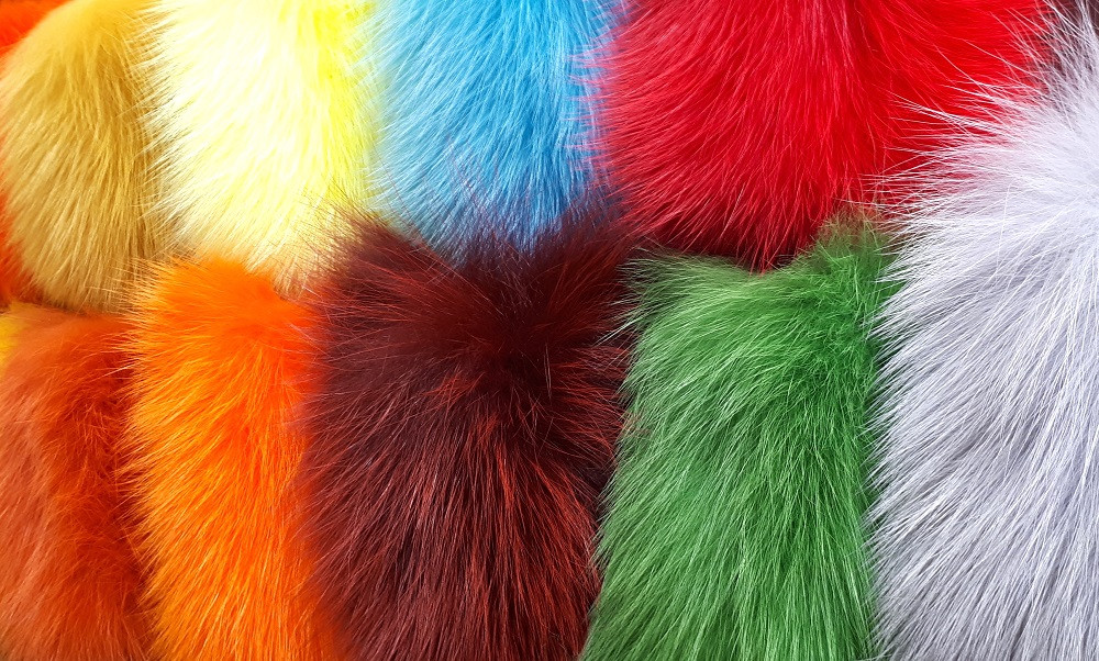 FUTURE FLY SHADOW FOX