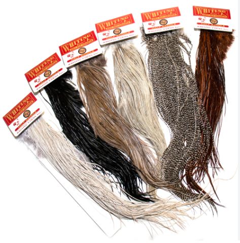  WHITING MIDGE ROOSTER 1/2 BRONZE SADDLE