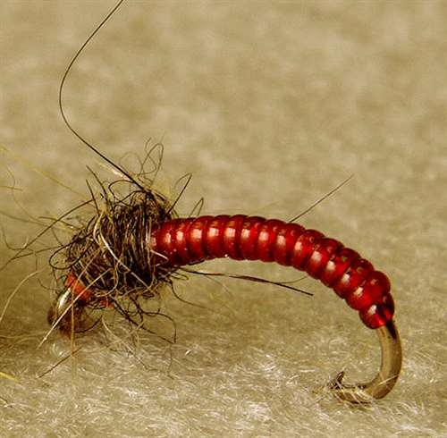 WHALESBACK V-RIB large