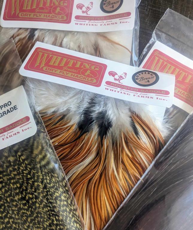  WHITING BRONZE SADDLE