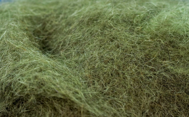 MAGPIE AUSTRALIAN POSSUM DUBBING