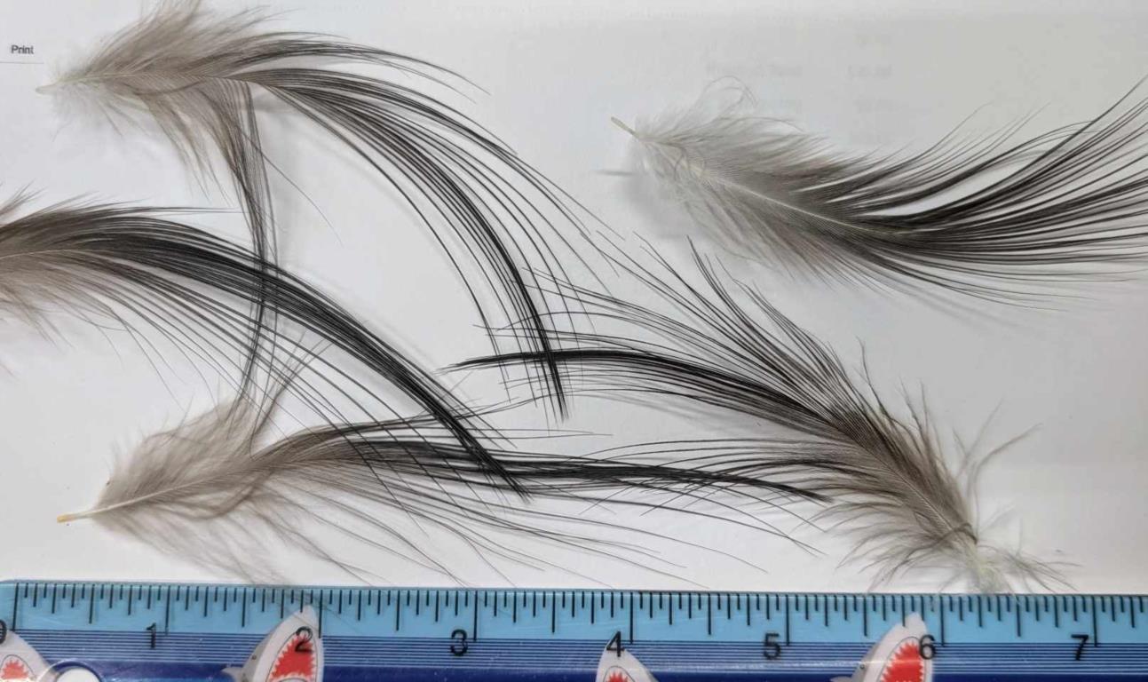 FLYMART tyers grade heron