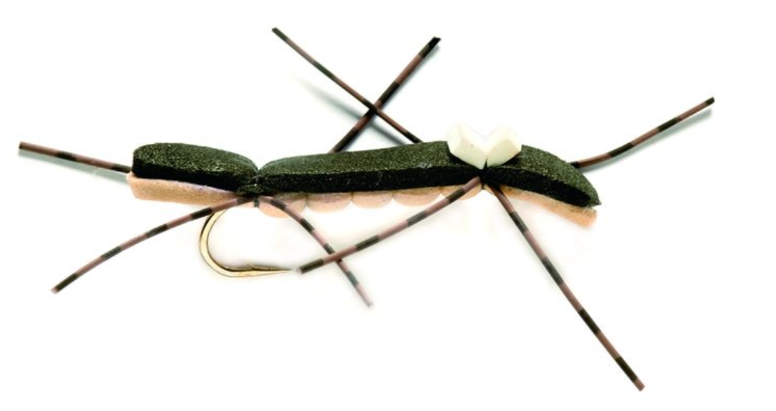  Chernobyl Ant Black & TAN (C6)