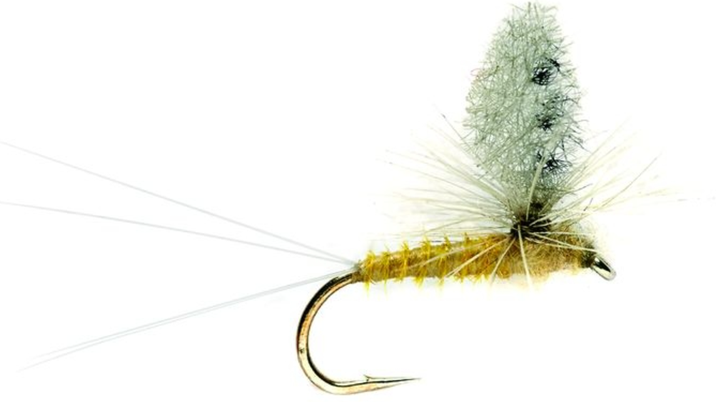 Pale Morning Dun Parachute Cutwing