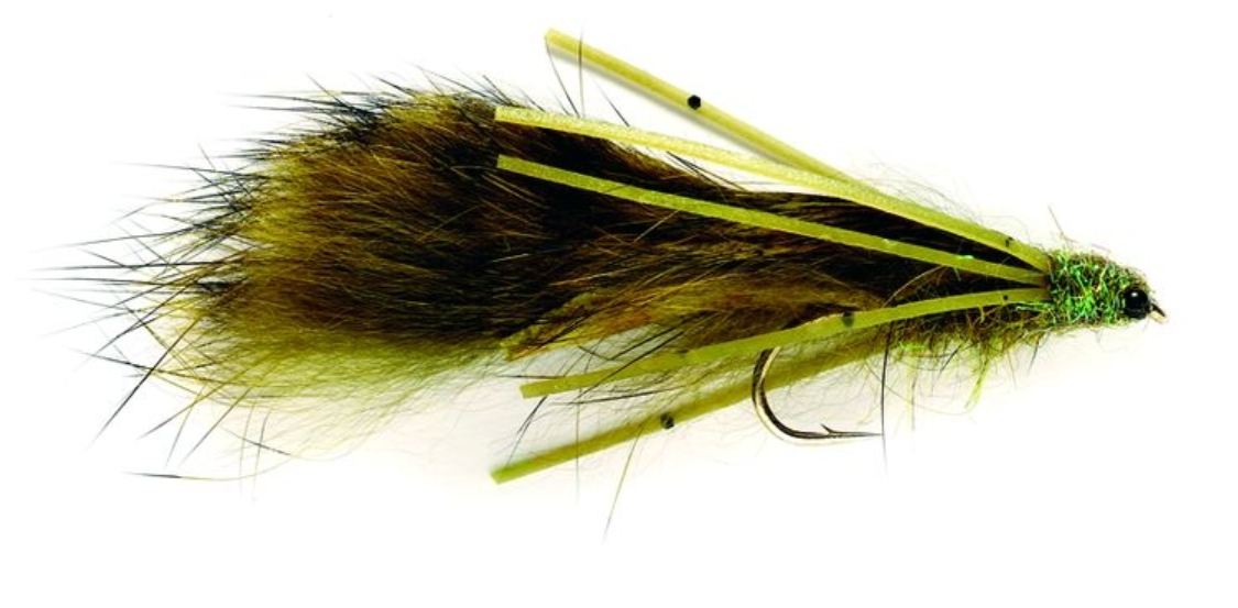 Papa Roach Dragonfly NYMPH