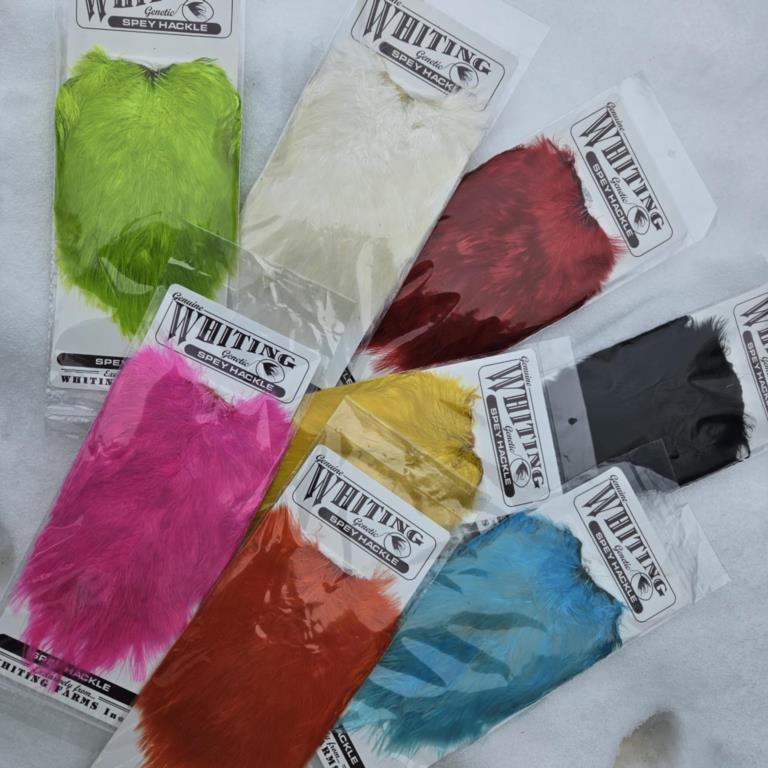 WHITING Spey Hackle Hen Saddle