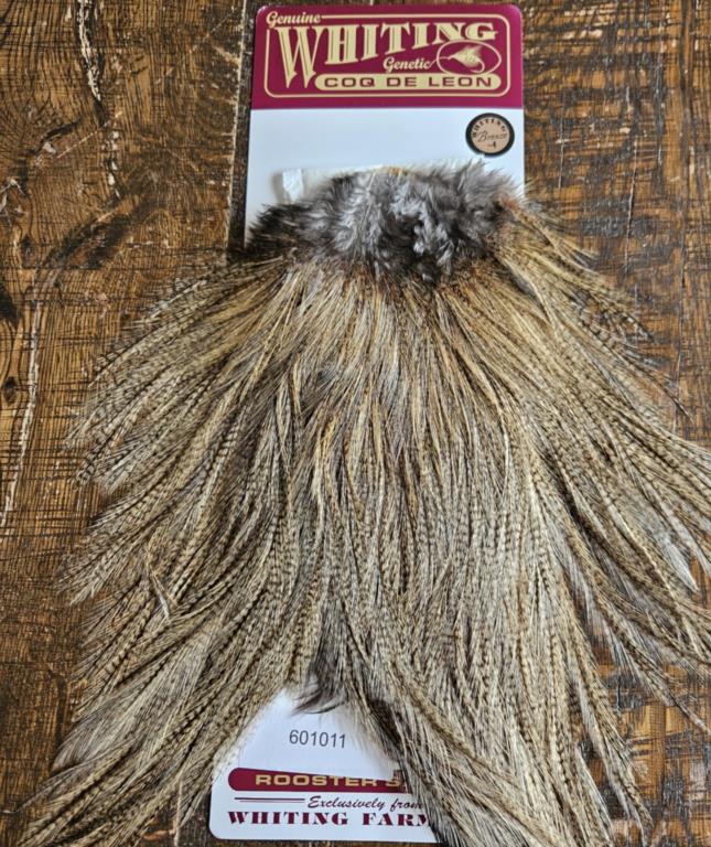 WHITING Coq De Leon Bronze Saddle