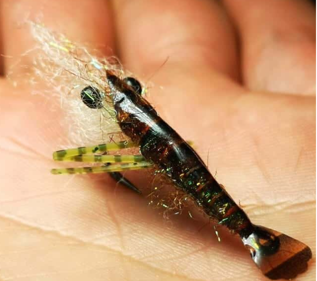 GAGA FLIES MAGIC SHRIMP SKIN