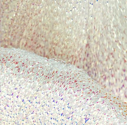 FLASHABOU Miarge Accent - OPAL