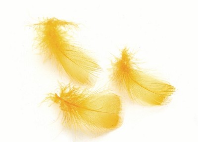 VENIARD Toucan (Substitute)