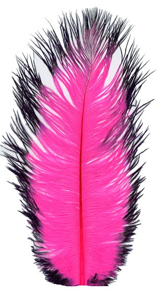 Spirit River - Tip dyed Ostrich