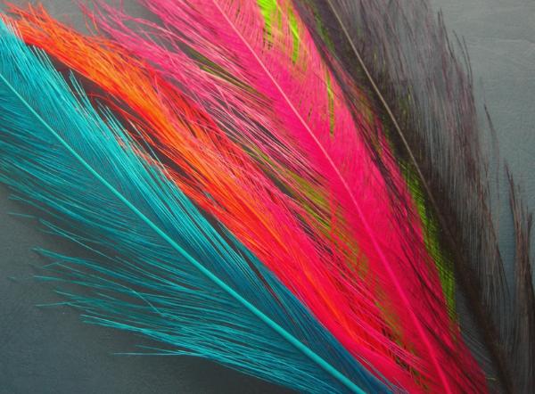 Canadian Tube Fly Co. Rhea Plume