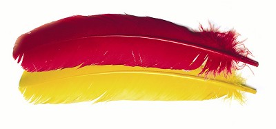 VENIARD Turkey Broad Wing Quill