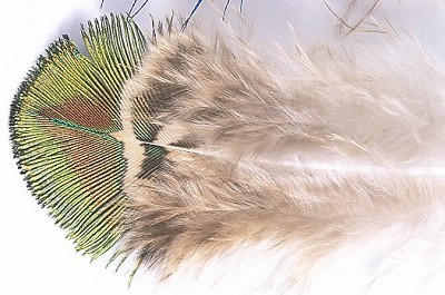 VENIARD Peacock Gold Body 