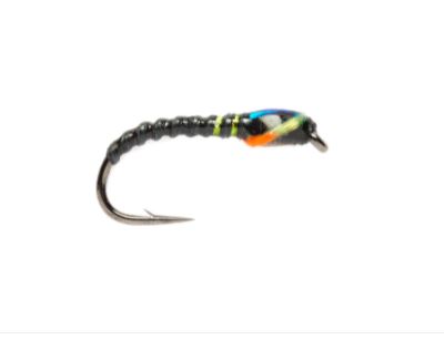 MACPHAIL MIRAGE BUZZER  