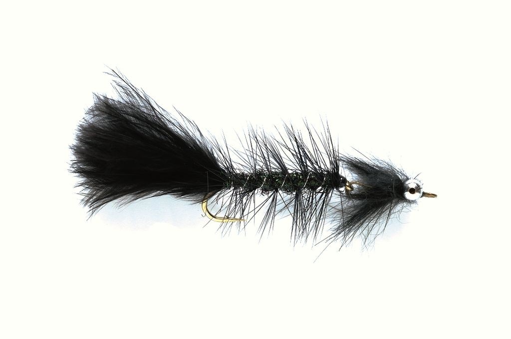 Lazy Bugger Black (C2R)