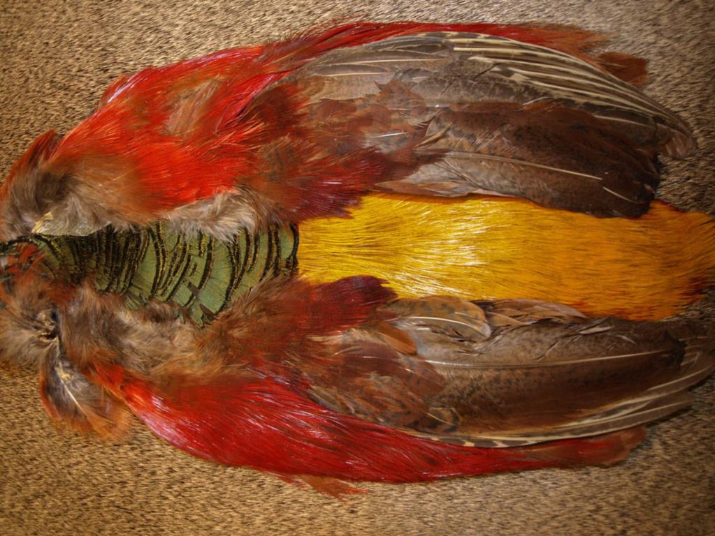 Nature Spirit Golden Pheasant Body Skin