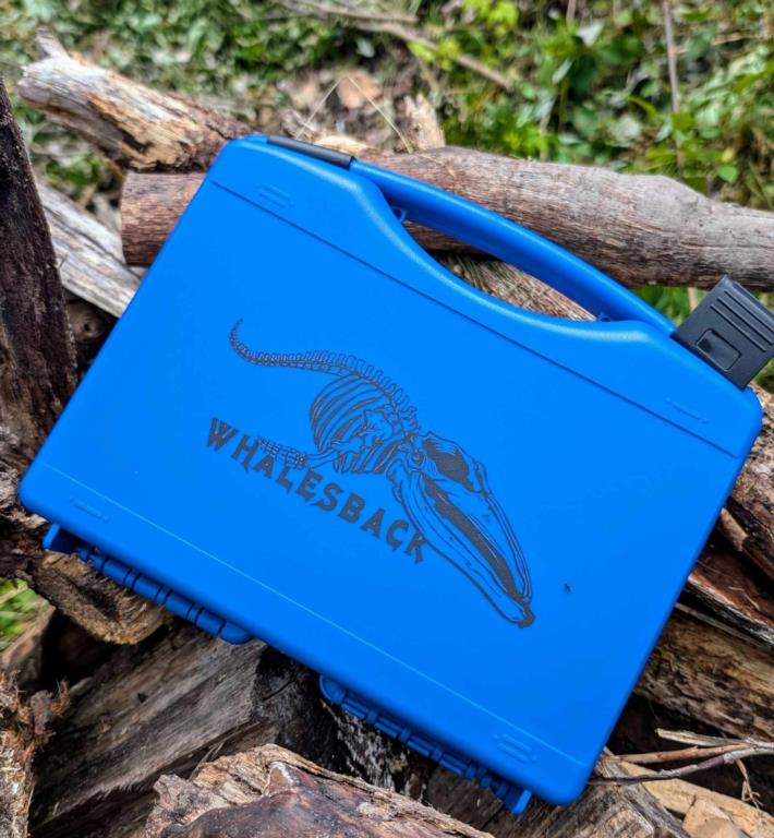 Whalesback Predator Box