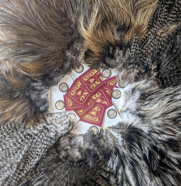 WHITING Coq De Leon Silver Saddle