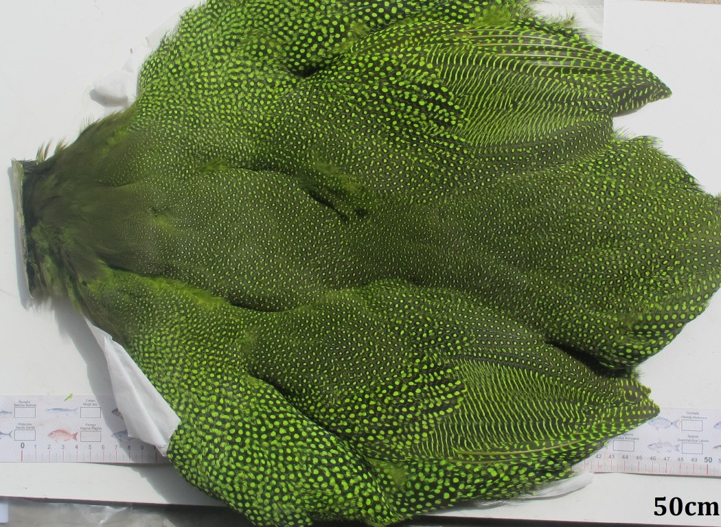 WHITING Guinea Fowl Large Skins