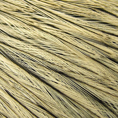 WHITING American Rooster Cape Badger