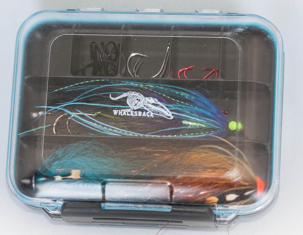 Whalesback Component box