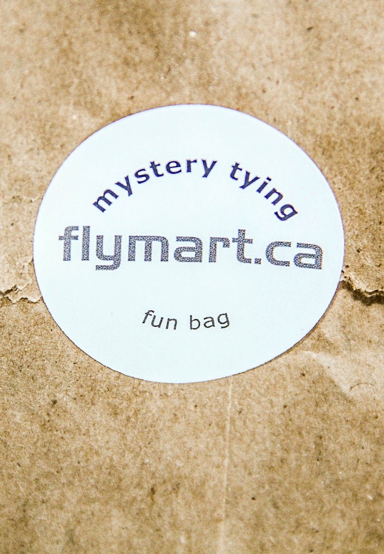 MYSTERY FUN BAGS