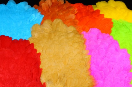 Future fly American Saddle