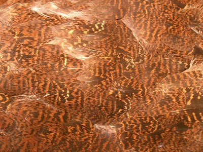 VENIARD Grouse Body Plumage
