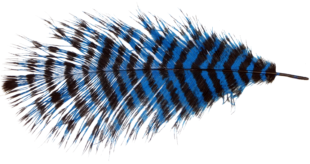 Spirit river jailhouse ostrich