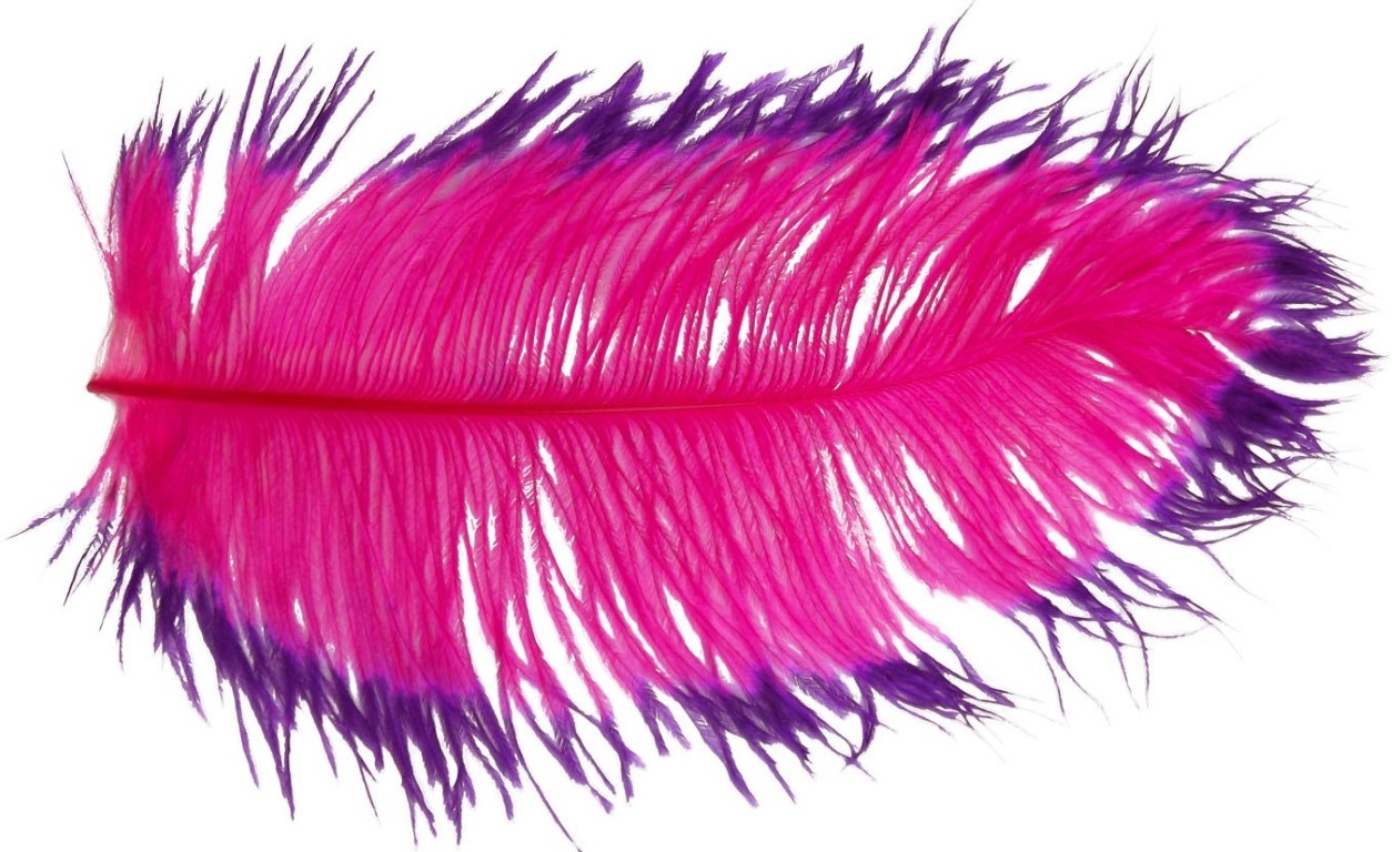 Spirit river tiny tip dyed ostrich