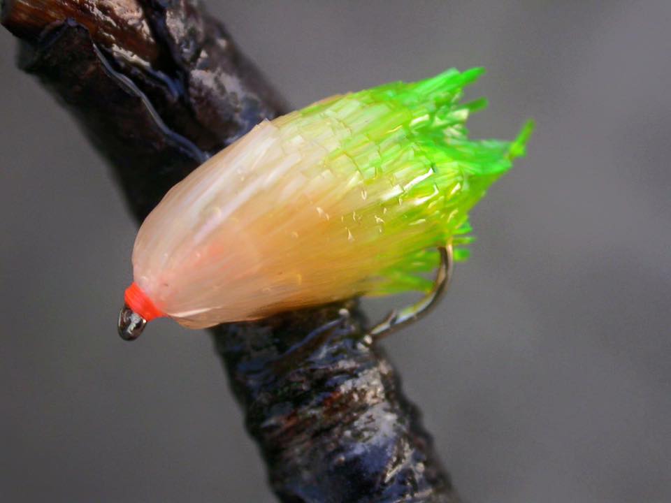 ALCHEMISTS Jello-10 Fritz