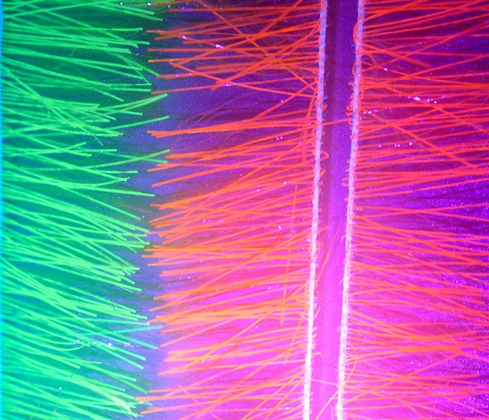 WHALESBACK EVERGLO WRAP