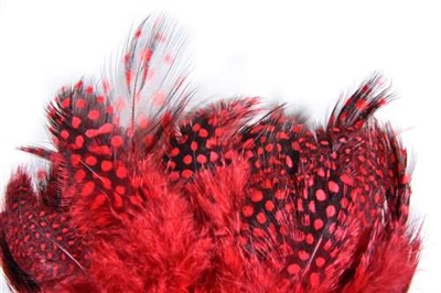 WHALESBACK STRUNG GUINEA FOWL