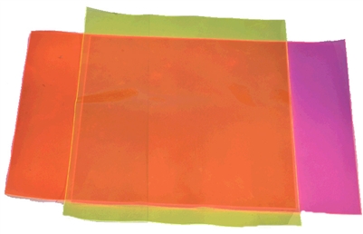 WHALESBACK Edge Bright