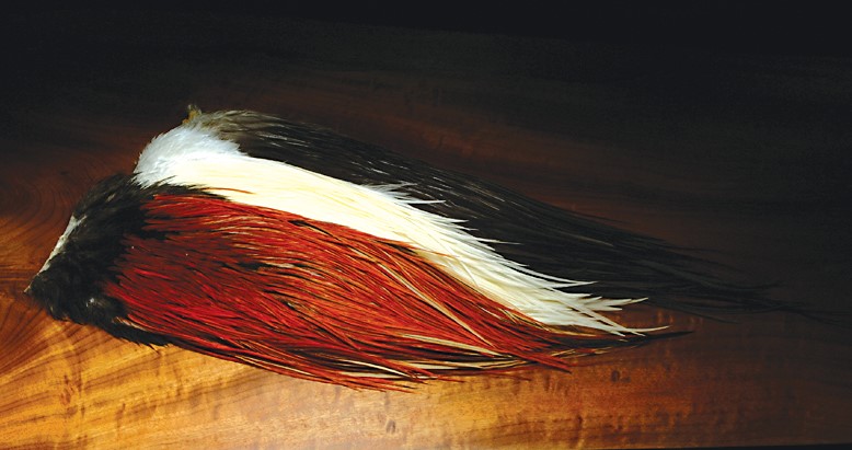 Metz Cock Saddles # 1