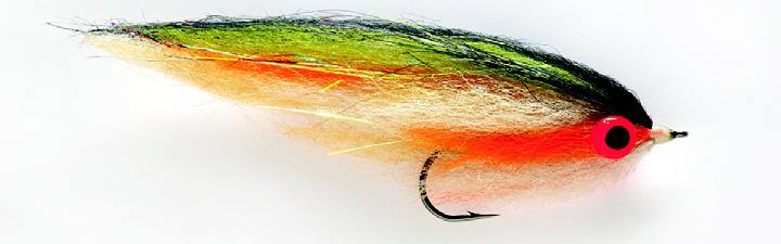 Northern Tilapia SIZE 4/0  (F2E)