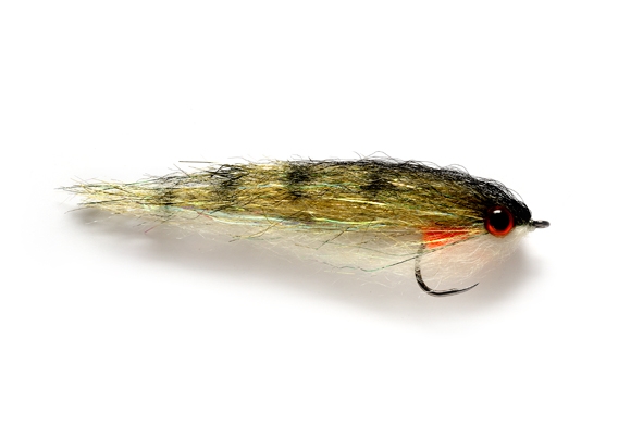 Dougie's Baitfish Perch (J2D)