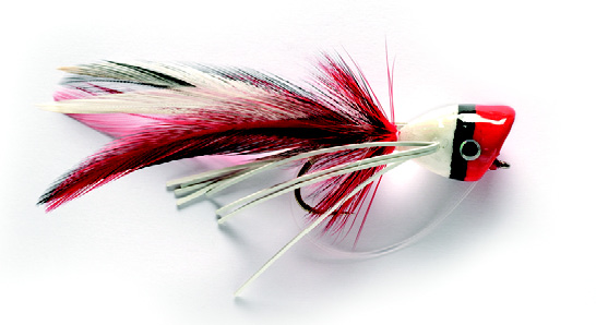 Bass Popper Red & White SIZE 6 (F8C)