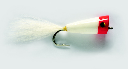 Skipping Bug White/Red 