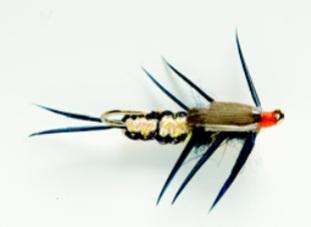 Stonefly Creeper Gold Nugget 