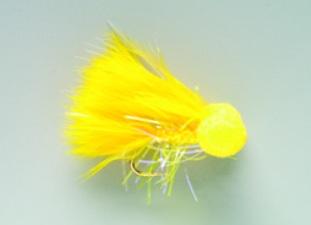 Booby Sunburst (A1N)