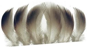 WHALESBACK Mallard Duck Selected Bronze Mallard Shoulders 