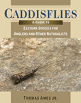 Caddis Flies - Thomas Ames JR