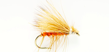  Elk wing Orange