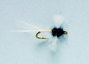 MIDGE Caenis Poly wing 