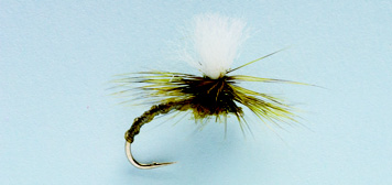 Flexi Olive Parachute 